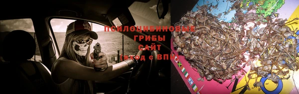 ALPHA PVP Приозерск