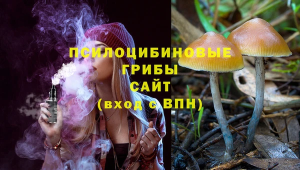 прущий лед Протвино