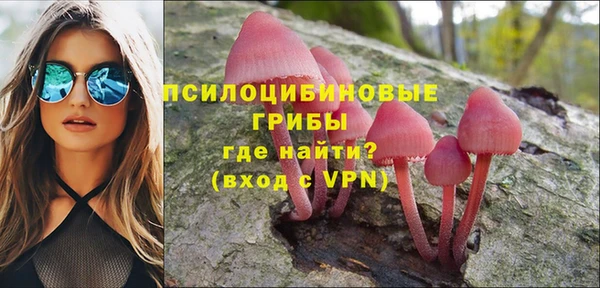 прущий лед Протвино
